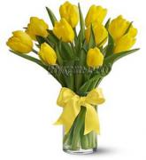 «11 желтых тюльпанов»