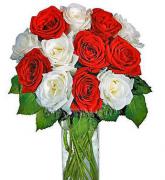«15 красно-белых роз»