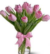 «11 розовых тюльпанов»